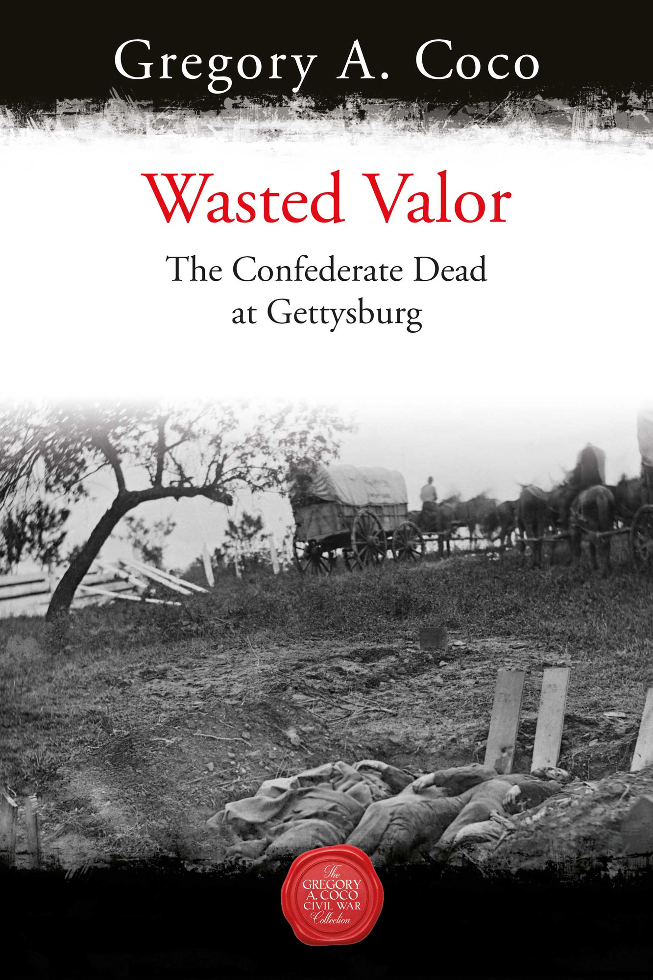 WASTED VALOR: THE CONFEDERATE DEAD AT GETTYSBURG