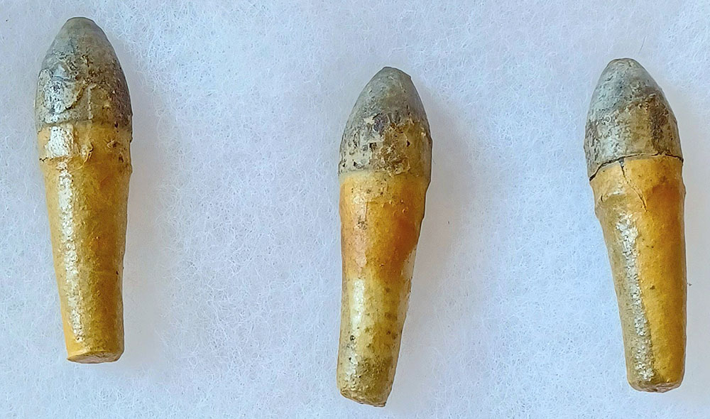 SCARCE EARLY WAR .44 CALIBER JOHNSTON & DOW CARTRIDGE