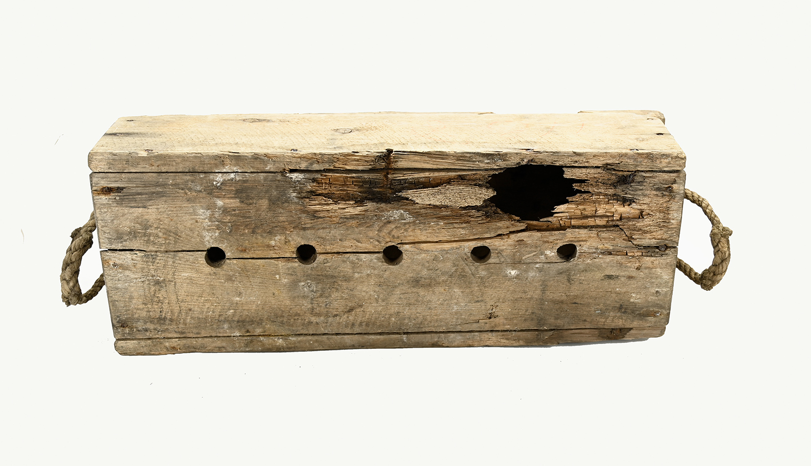 Image 10