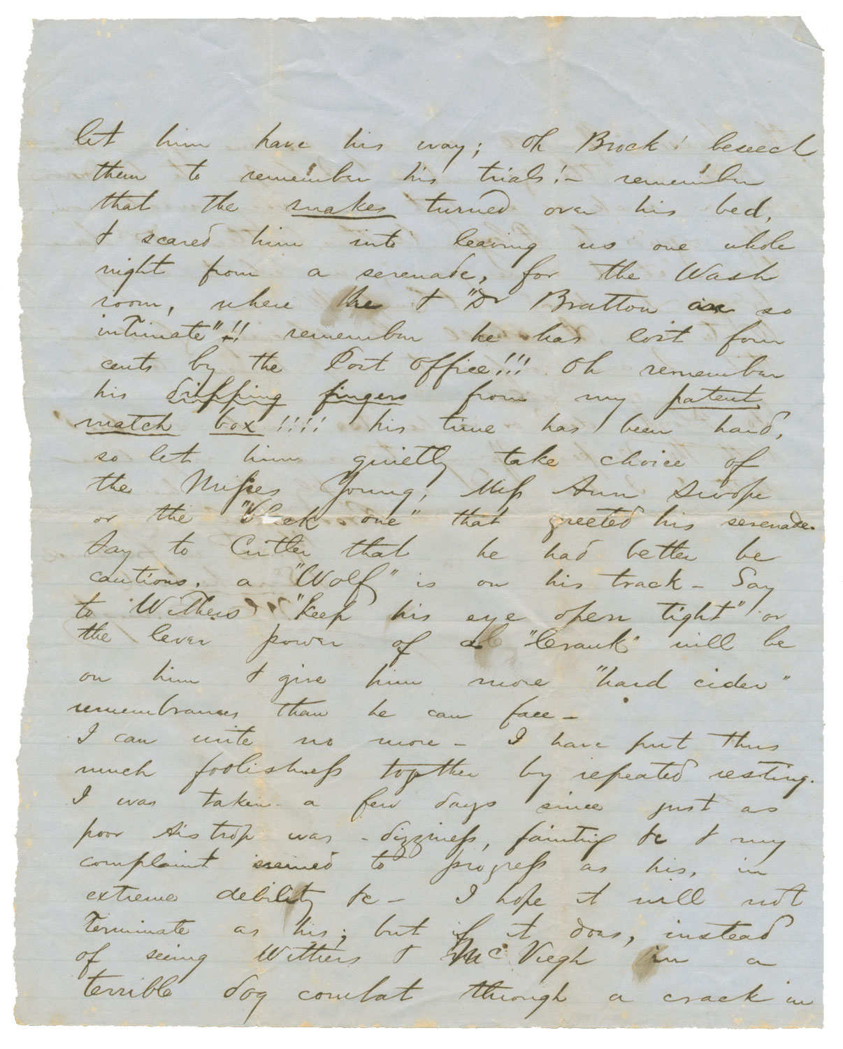 Image 5