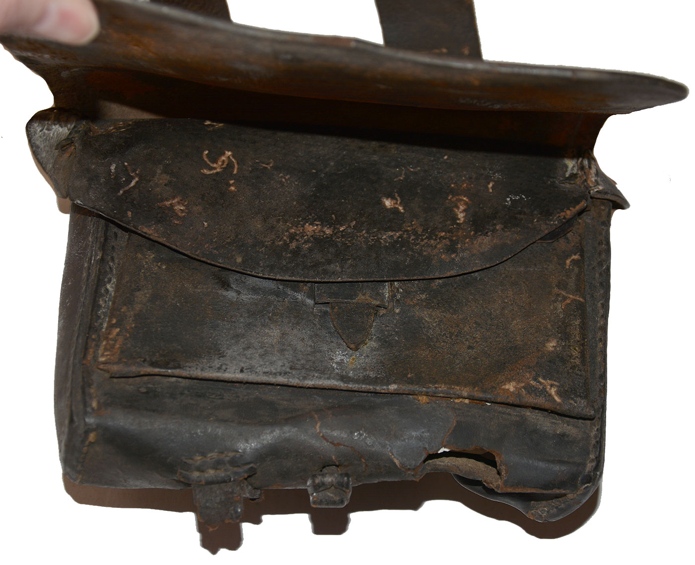 Image 5