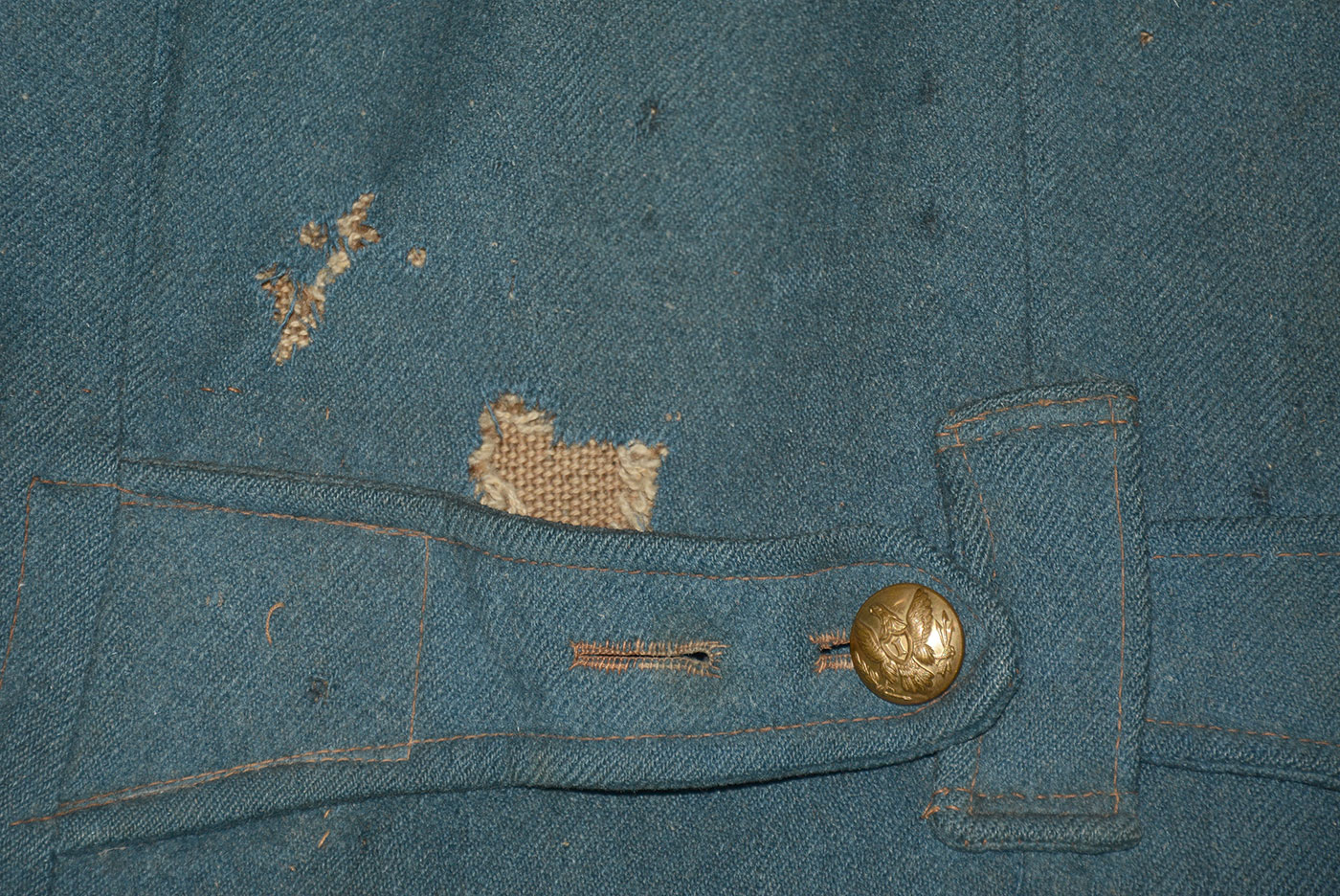 Image 19