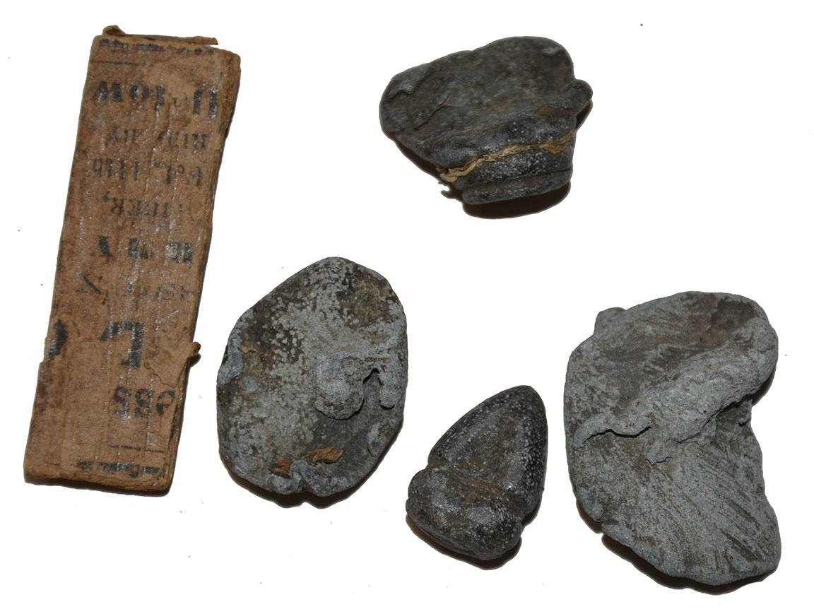 Image 15