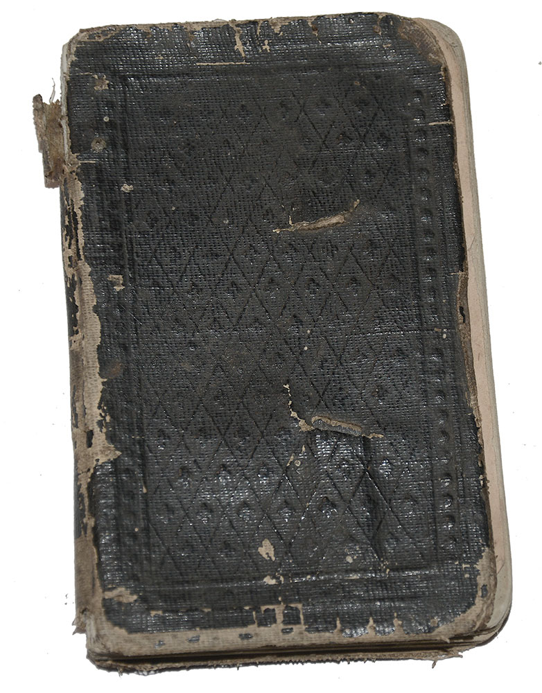 Image 7