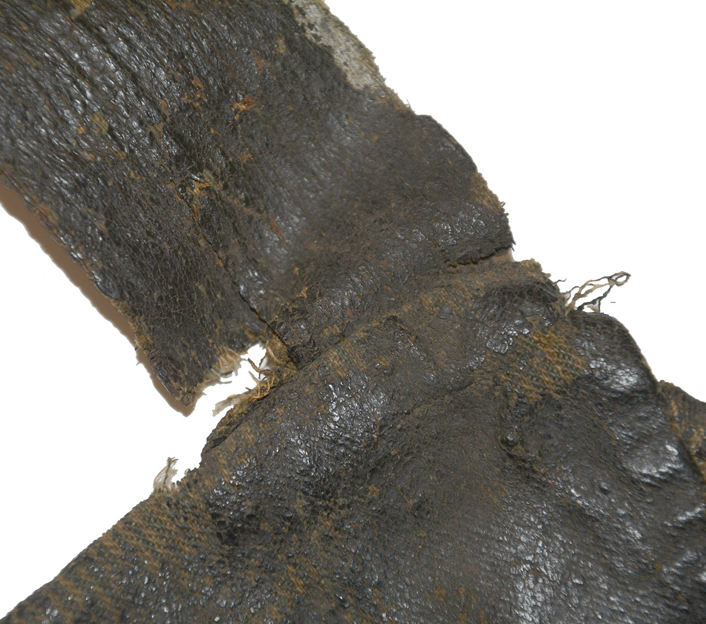 Image 21