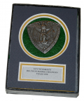 1920 UCV REUNION BADGE – HOUSTON, TX