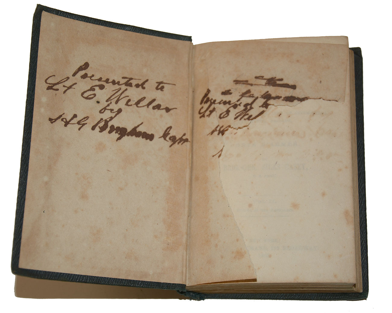 Image 3