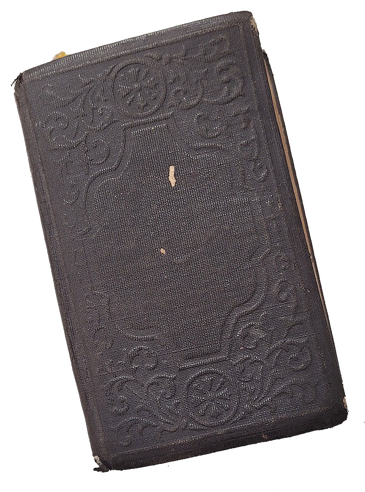 Image 7