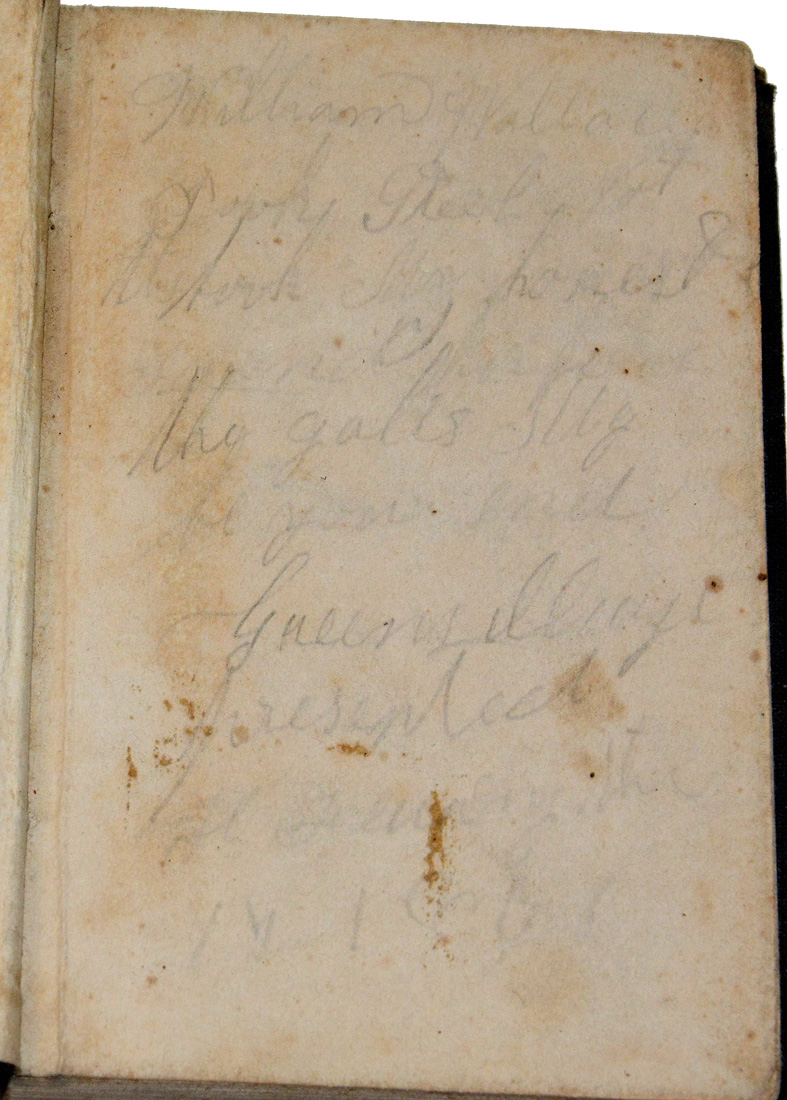 Image 12