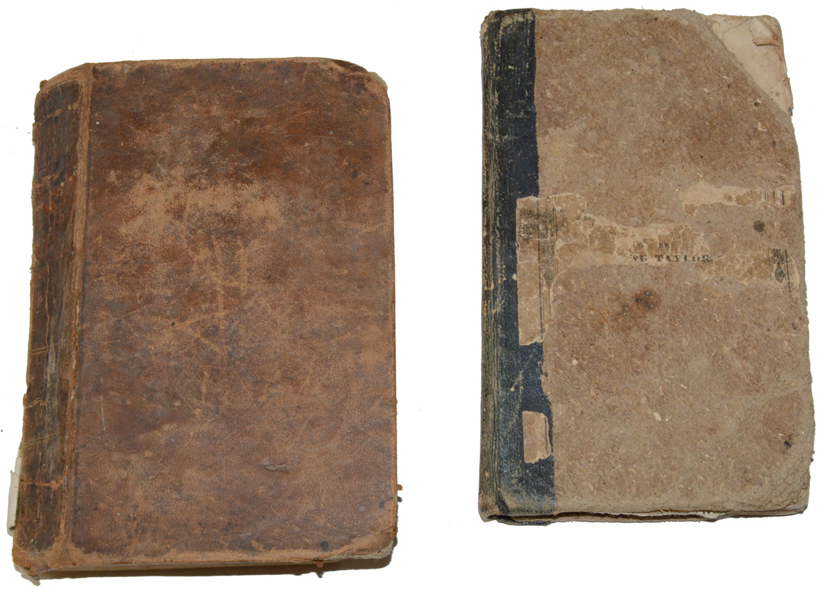 Image 19