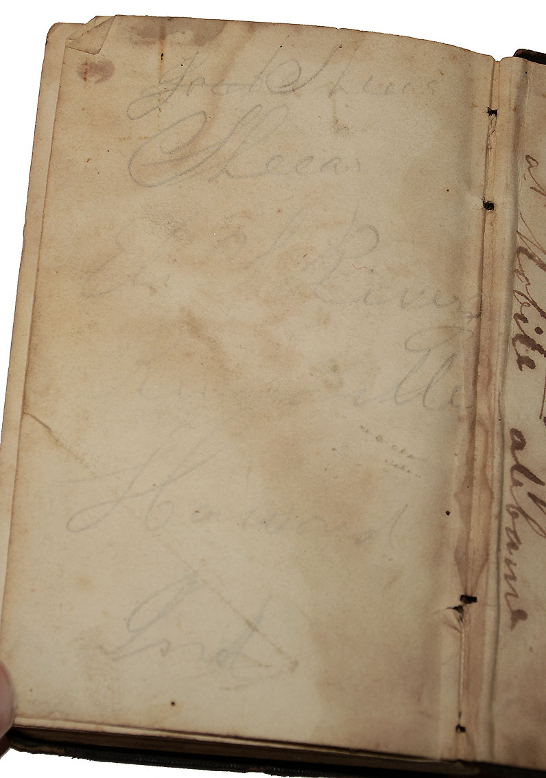 Image 6
