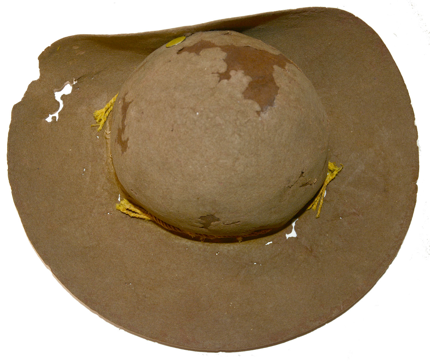 Image 4