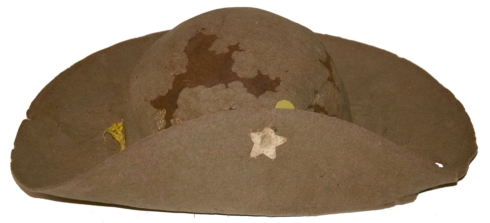 Image 7