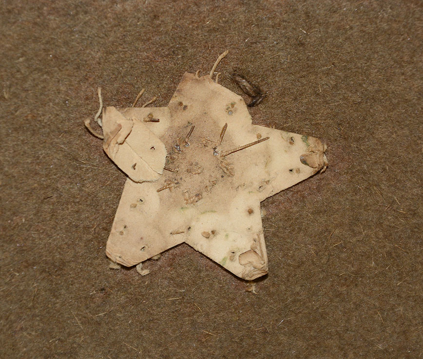 Image 8