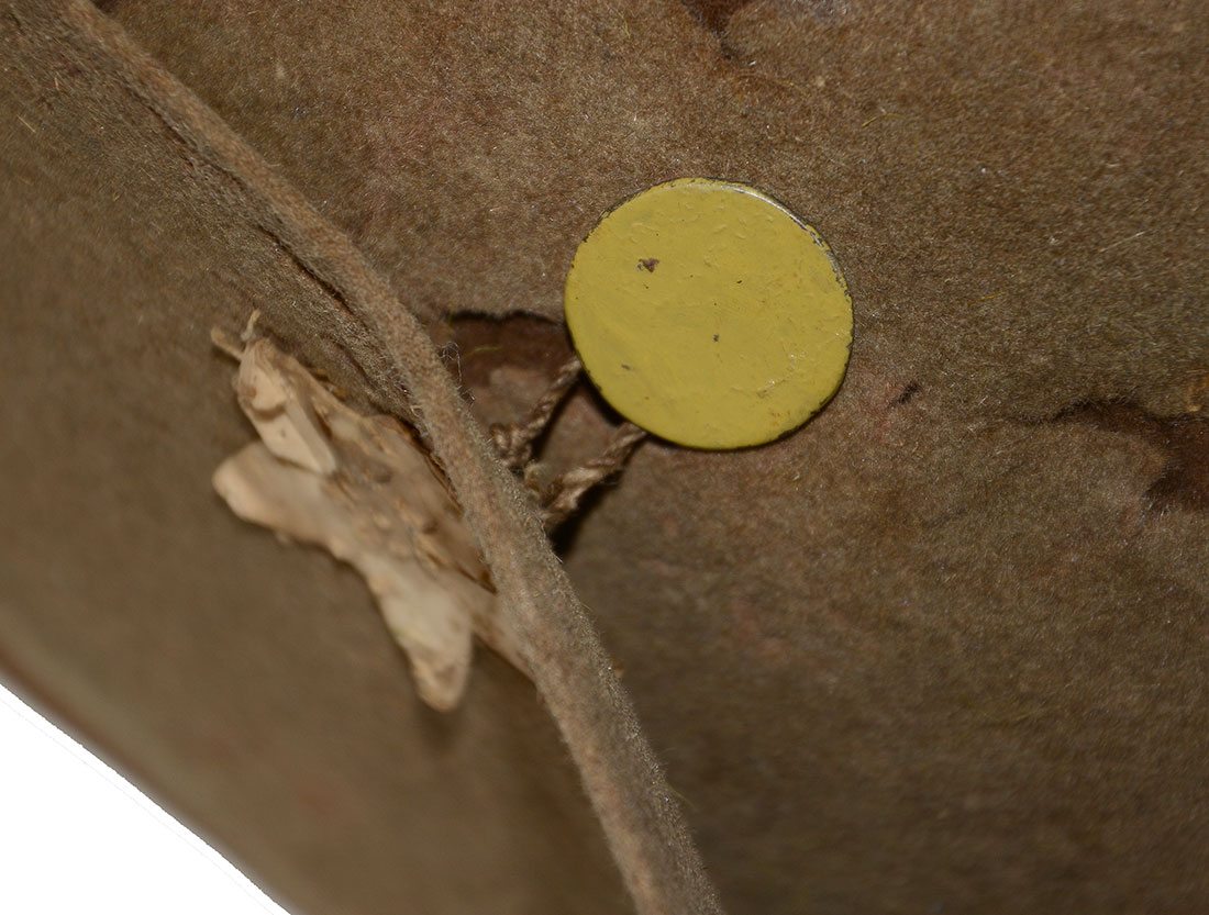 Image 9