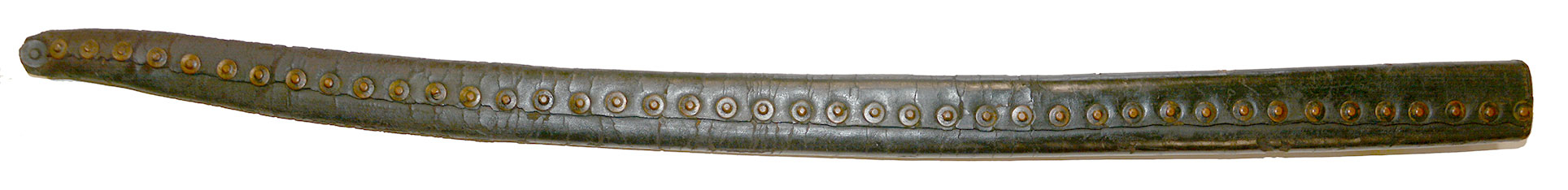 Image 13