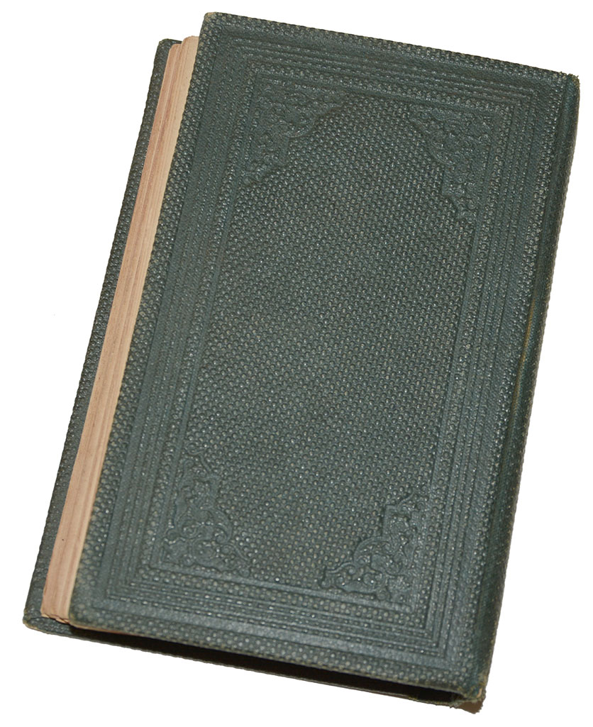 Image 7