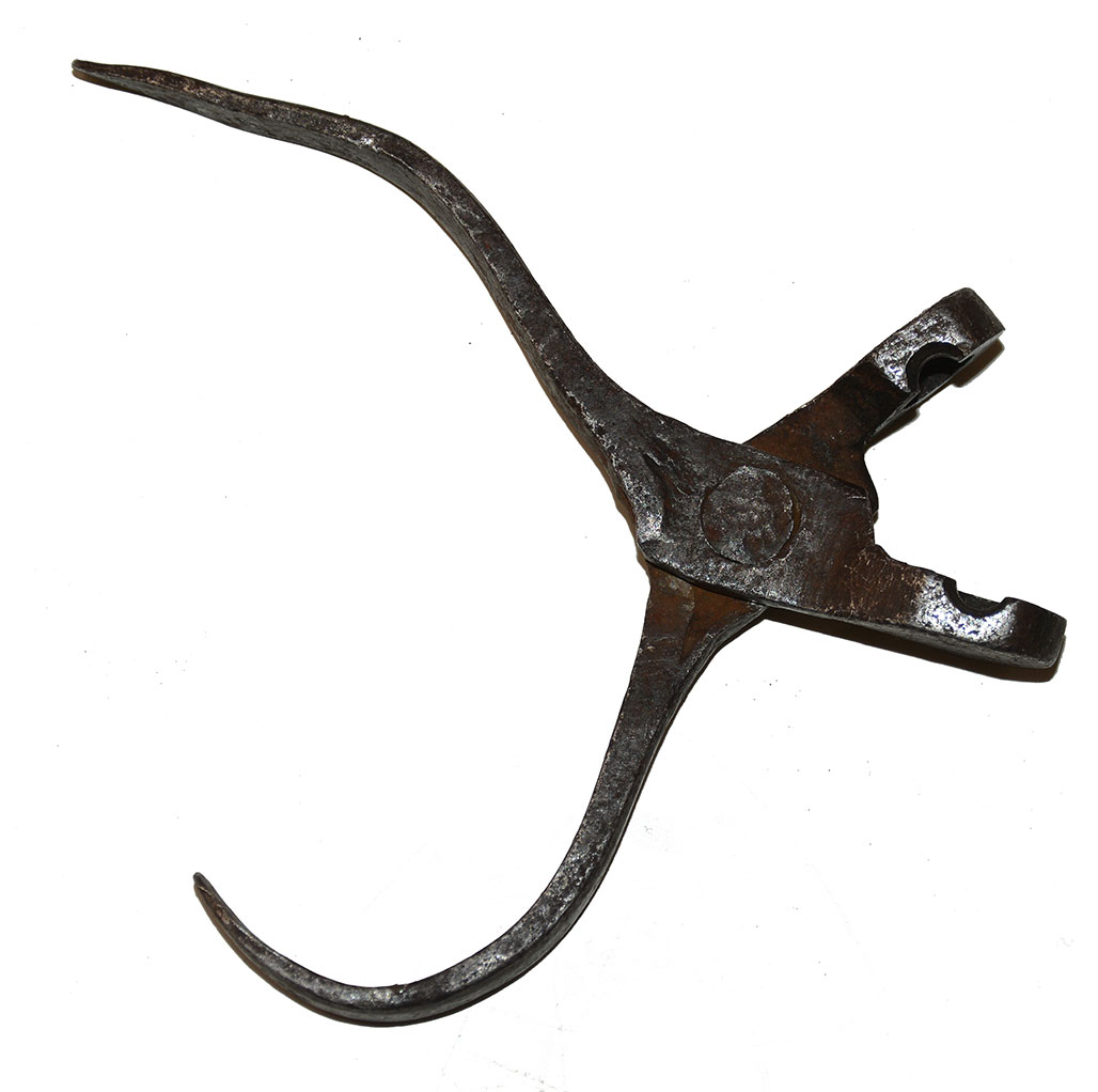 Image 13