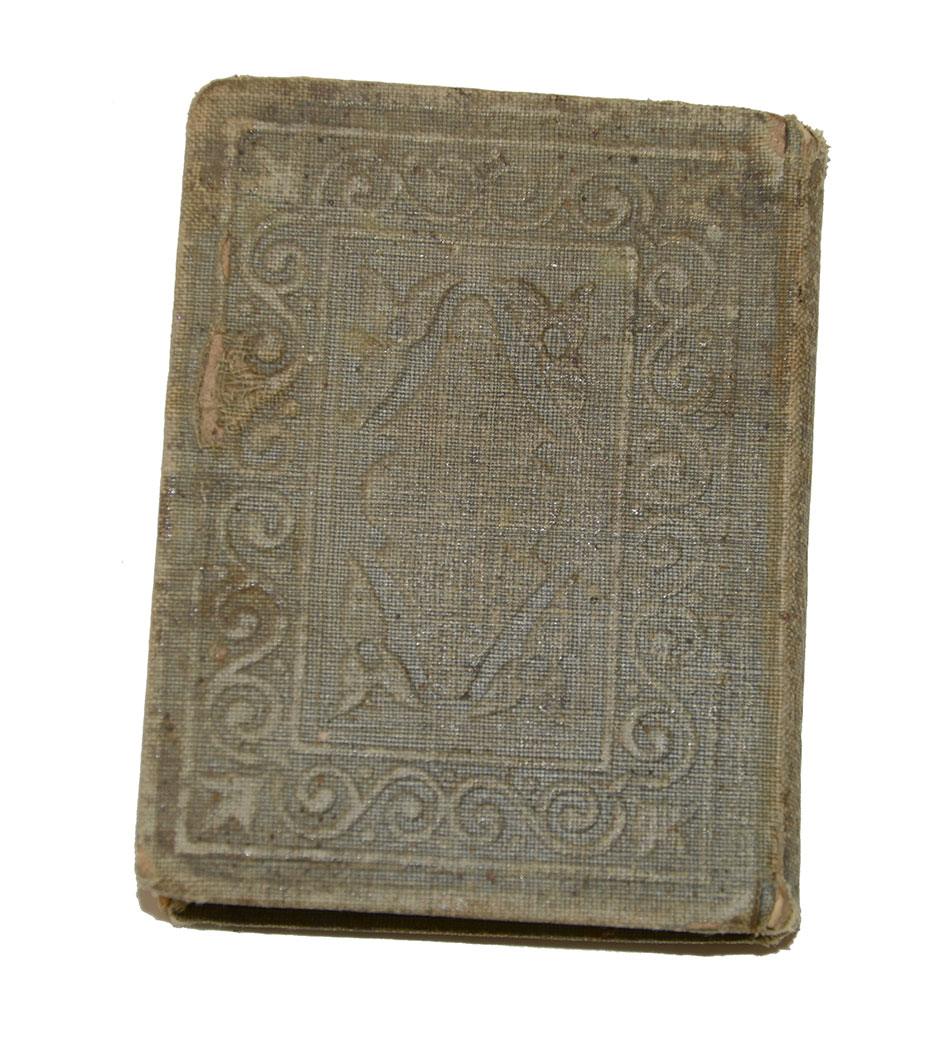 Image 5