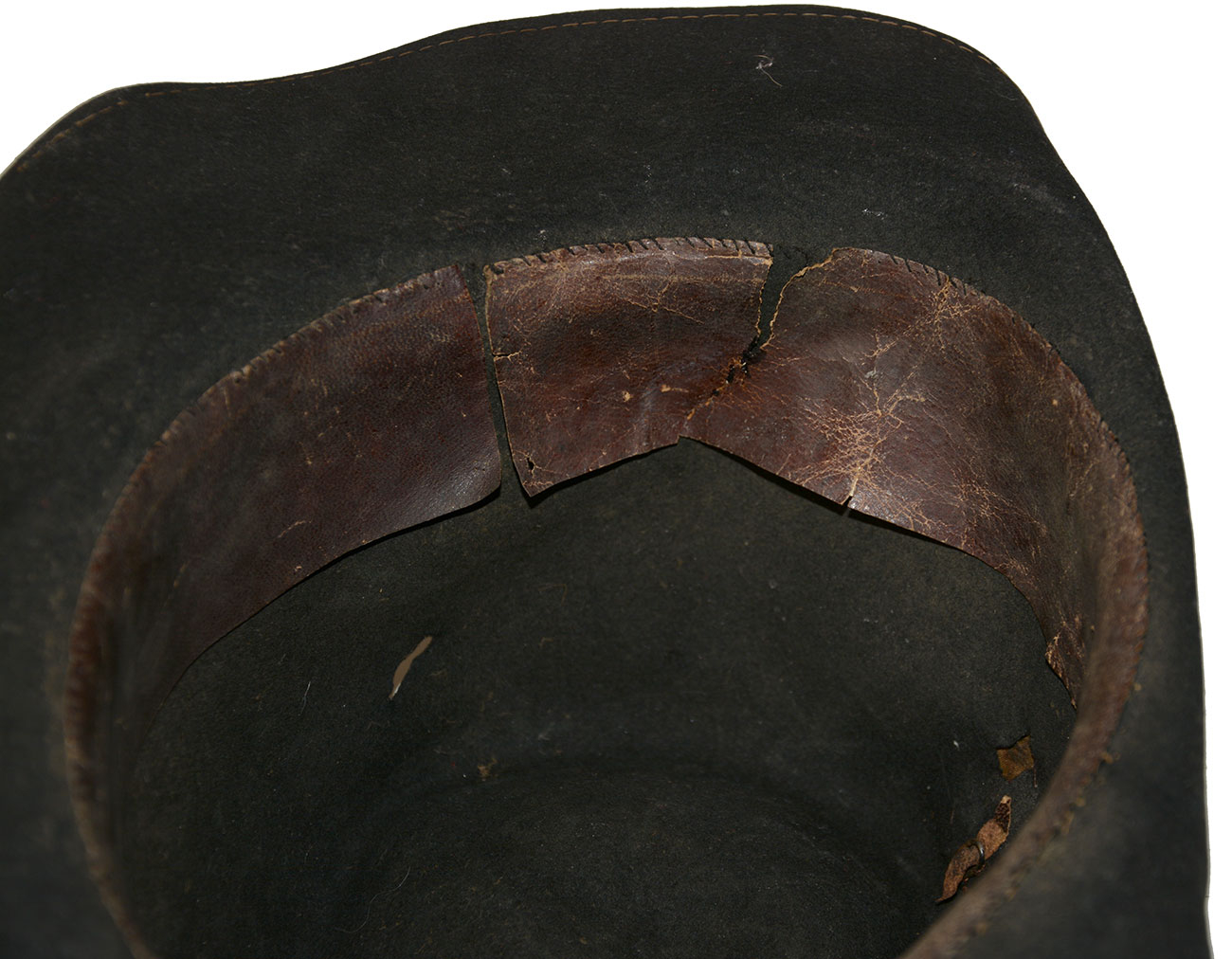 Image 13