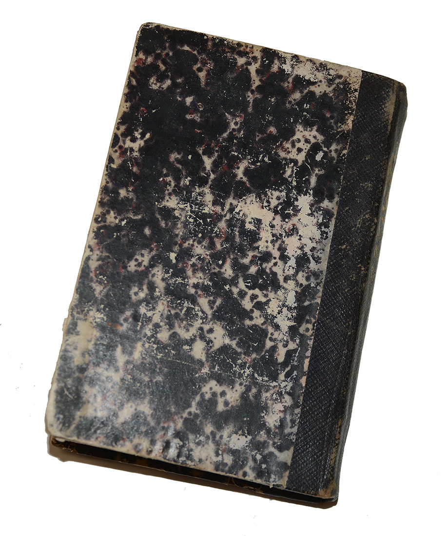 Image 7