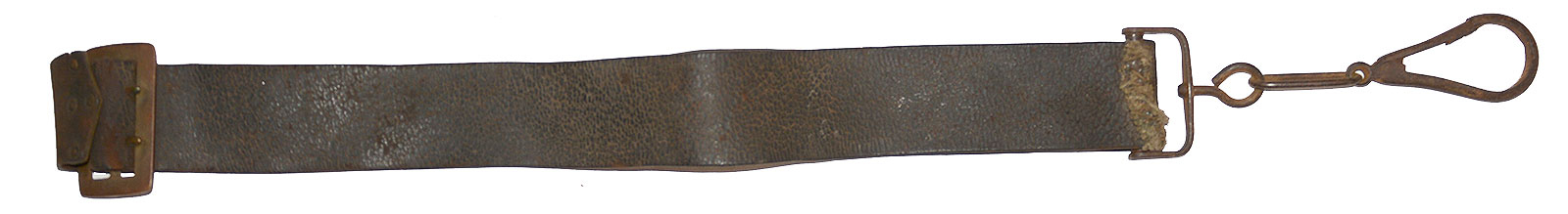 Image 31
